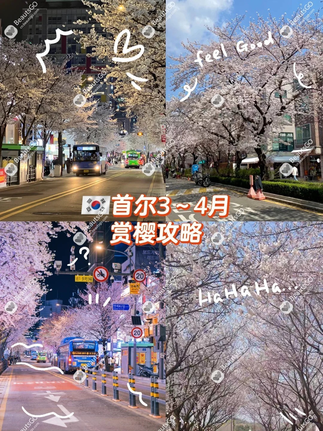 首尔樱花季旅游攻略