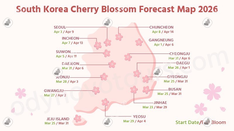 South Korea Cherry Blossoms Forecast 2026: Best Spots, Festivals