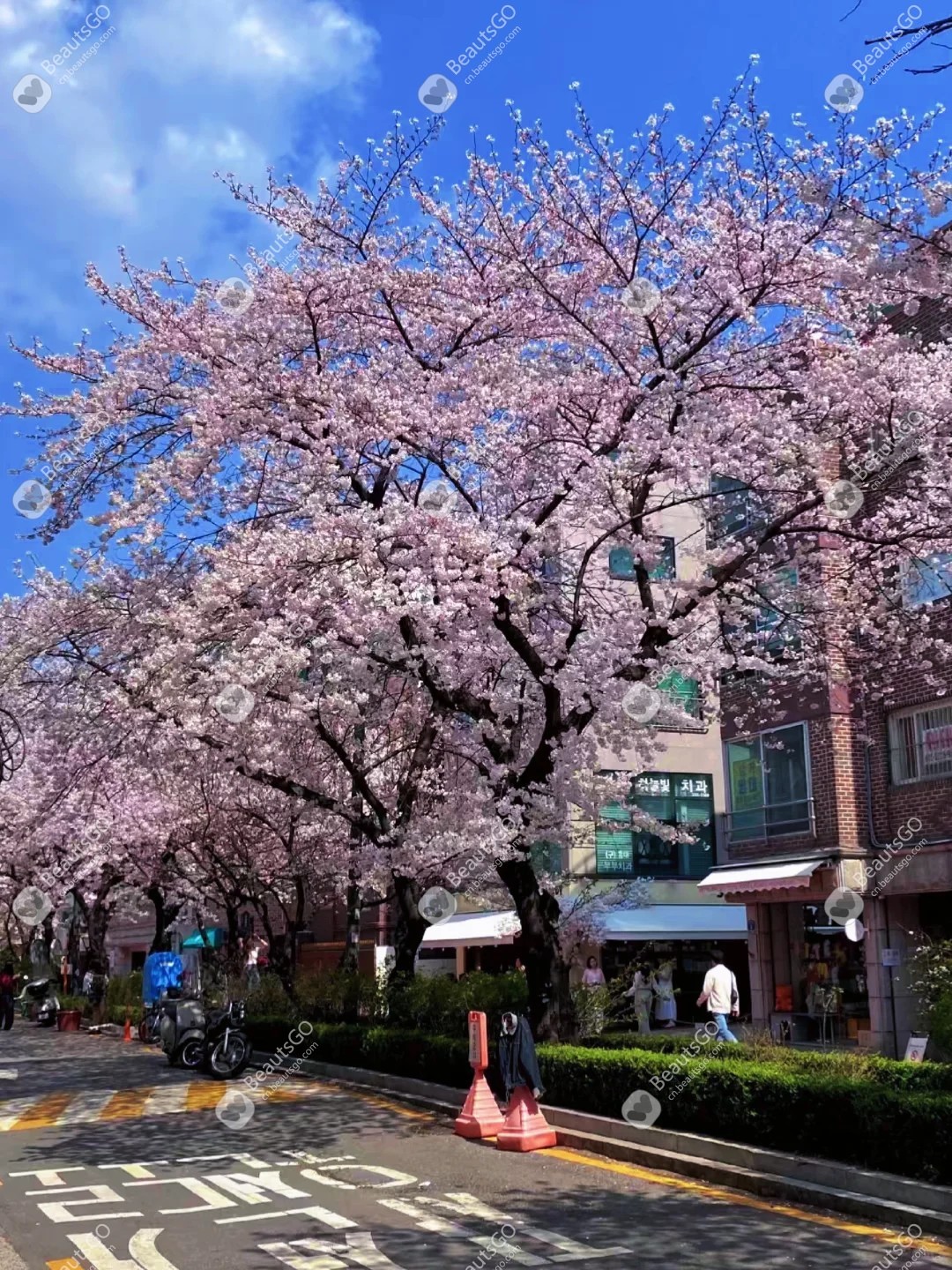 韩国旅游攻略