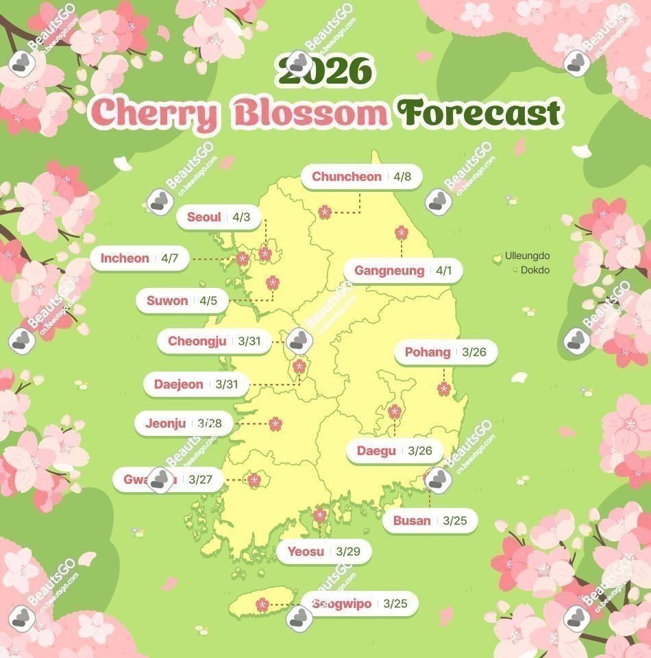 韩国2026樱花预测
