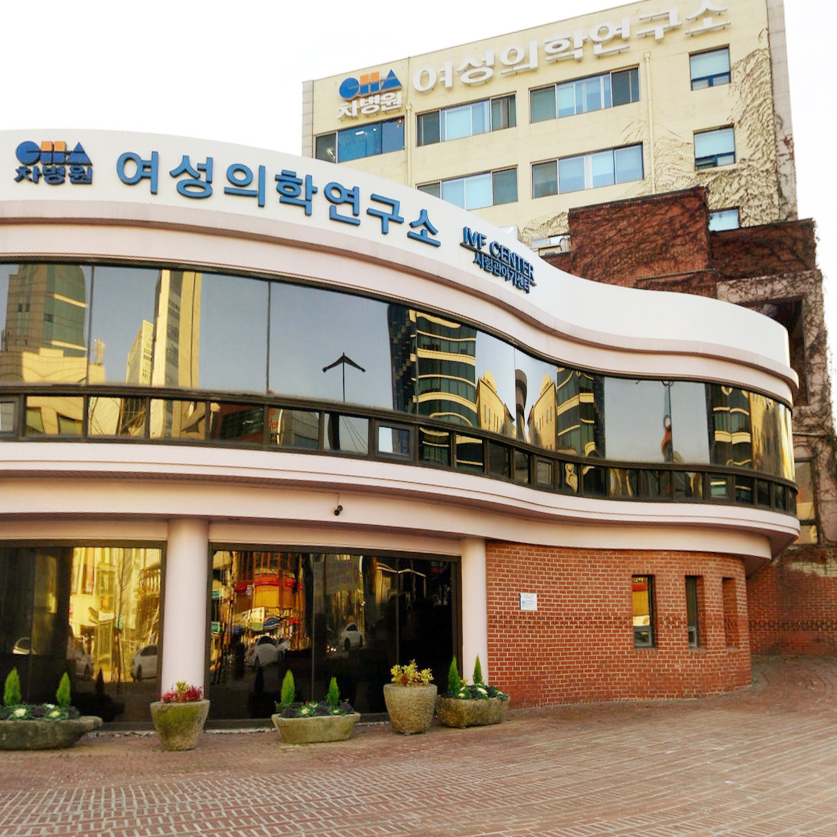 IV. How to Plan Your Trip, Shopping, and Accommodation Around Che Hospital in Gangnam, Seoul